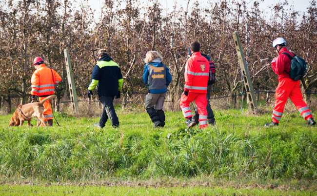 cane ricerche squadra vigna