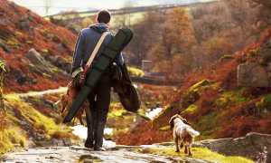 cane selvaggina cacciatore