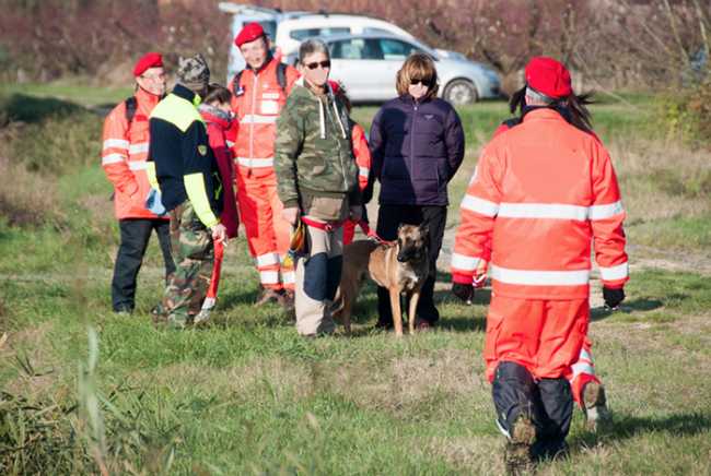 cane soccorritori auto prato