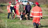 cane soccorritori auto prato
