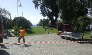 canforo pallanza esami