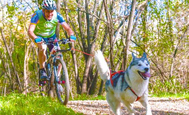 cani cross Folini gara gattinara1