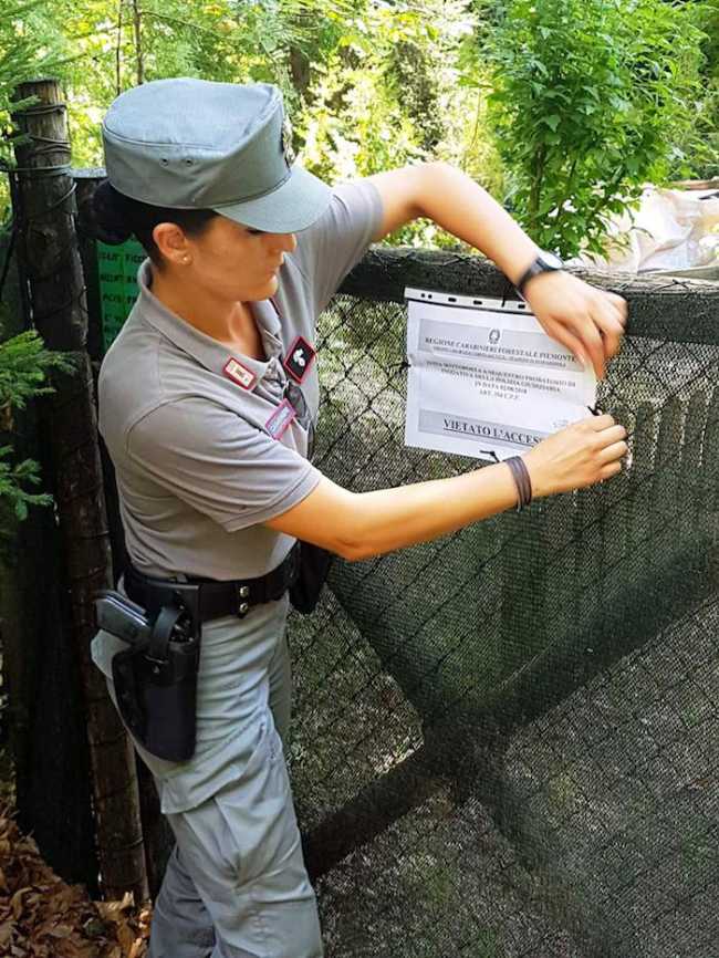 canile montecrestese2