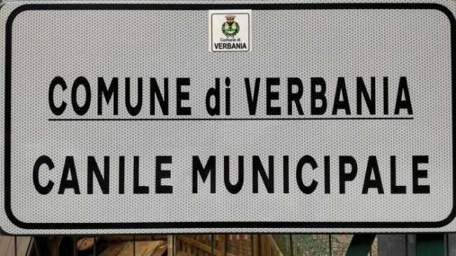 canile vb cartello