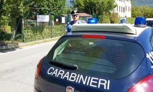 canile verbania auto cc