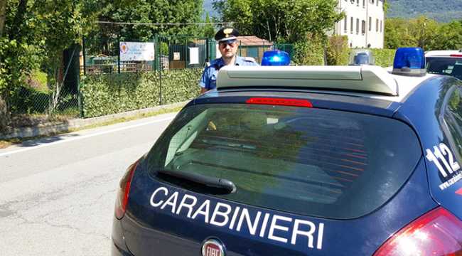 canile verbania auto cc