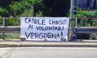 canile volontari vergogna