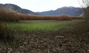 canneto fondotoce gennaio 16