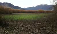 canneto fondotoce gennaio 16