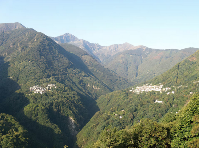 cannobina