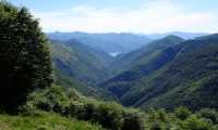 cannobina