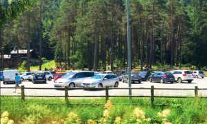 capanno pini posteggio vigezzo