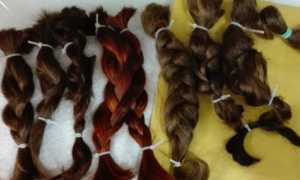 capelli raccolta