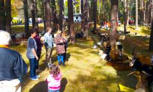 capre trasquera sunei