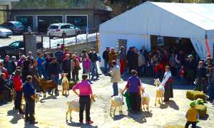 capretto vigezzino mostra.jpg