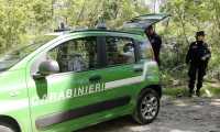carabinieri forestale bosco