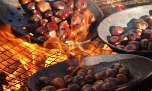 castagnataCireggio700