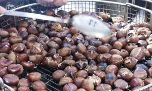castagnata