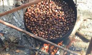 castagne