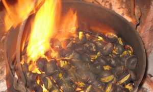 castagne pentola fuoco