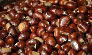 castagne sagra
