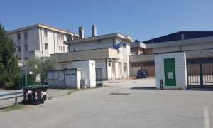 cavalieri retro