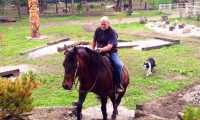 cavallo premosello