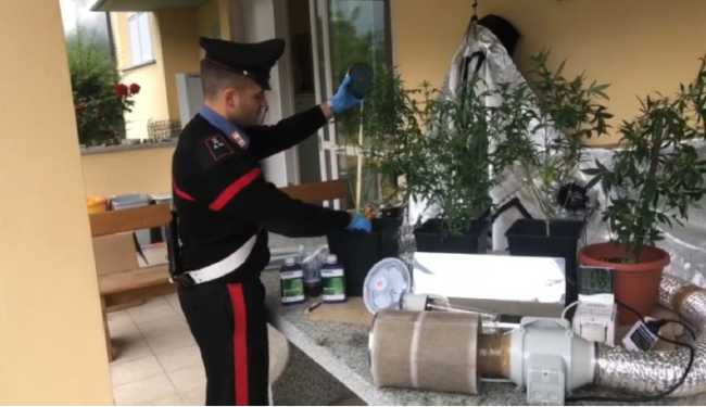 cc droga piedimulera