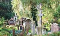 cemetery 363334 640