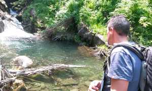 cerva morta bognanco