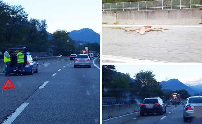 cerva superstrada ott 17