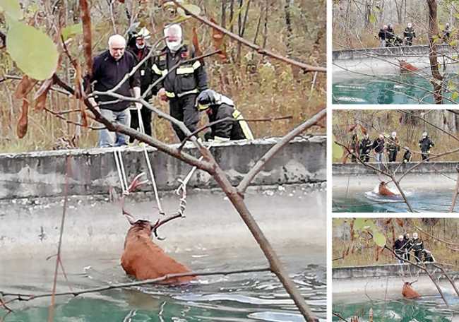 cervo canale mix ott 20