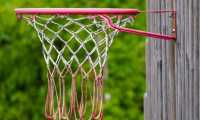cesto basket