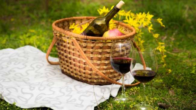 cesto picnic