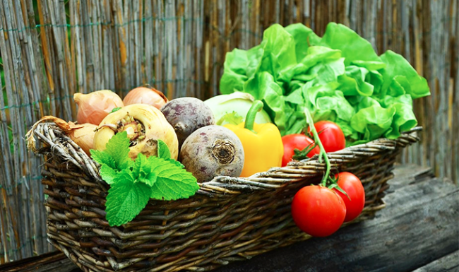 cesto verdura