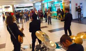 charlies stripe shopping