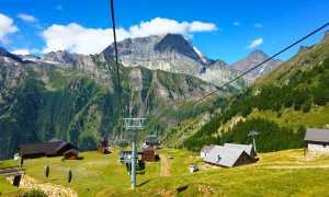 ciamporino estate seggiova leone