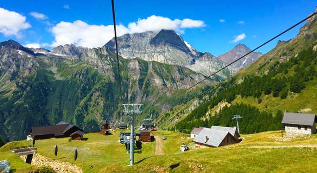 ciamporino estate seggiova leone