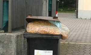 cibo centro accoglienza