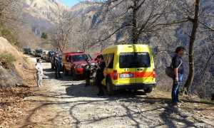 cicogn ricerche3