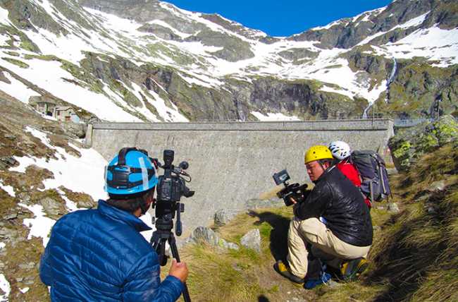 cingino stambecchi giapponesi