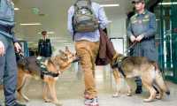cinofila antidroga cani finanza