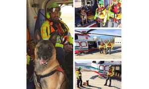 cinofile soccorso mix 2