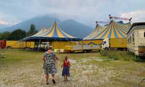 circo bambina donna domo