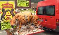 circo reclame pubblicita