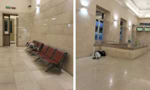 clochard stazione domo