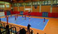 collegno vega
