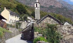 colloro