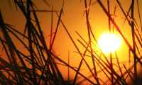 colpo calore sole