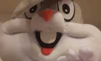 conigli